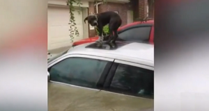 “Avevano provato a salvarlo in molti, ma lui non permetteva a nessuno di aiutarlo. Noi non ci siamo arresi e abbiamo scoperto che in realtà quel cane “