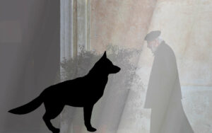 Pochi conoscono la storia del Grigio, il cane misterioso che compariva dal nulla per salvare il prete.