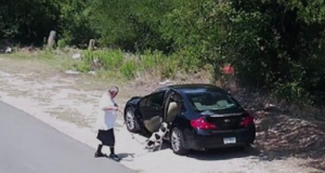 Colto in flagrante da una telecamera, mentre abbandona il suo cane lungo la strada. La storia non finisce qui.