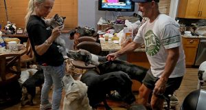 Ospitano 46 animali tra cani, gatti e conigli, nella propria casa, per tenerli al sicuro dall’uragano.