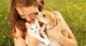 Se pensate che siamo noi a scegliere i nostri animali domestici vi sbagliate! E questa storia ve lo dimostrerà!