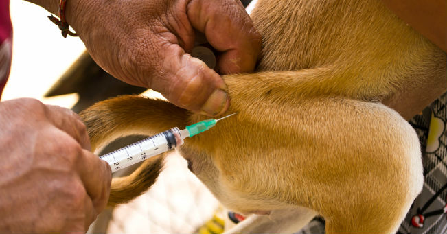 “L’ho chiamata e non mi rispondeva. Verso sera l’ho vista tornare, piena di sangue e camminando a malapena. Pensavo fosse stata investita da una macchina ma la verità era ancora più scioccante… Adesso voglio trovare il colpevole!”