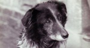 Decide di fare una camminata con il suo cane, ma né lui né il cane tornano più indietro. Dopo 15 settimane si scopre la terribile verità.