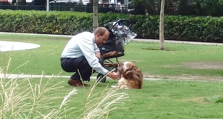 Ho fotografato un uomo con un passeggino che si era fermato per accarezzare un cane anziano. Non ho notato, però, un piccolo particolare fondamentale