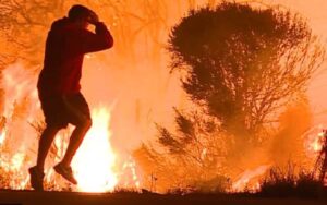 Video: si è gettato tra le fiamme per salvare un coniglio