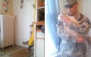 Video – Un papà umano soldato rincontra il suo gatto.