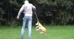 “Ho visto un tizio che stava colpendo e maltrattando un cane. Improvvisamente si è avvicinato un uomo molto arrabbiato, in difesa del cane. Ho pensato che ancora esistevano persone buone… 10 secondi dopo, lo sparo, non credevo ai miei occhi!  “