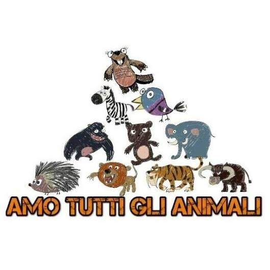 Trucchi segreti per tenere le pulci alla larga dal nostro cane o gatto