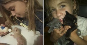 Aveva solo 10 anni ma amava gli animali più di qualunque cosa. Ed è proprio per questo che ha donato la sua vita, nel tentativo di salvare due gattini in pericolo.