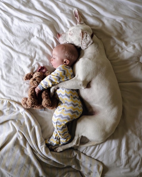 Ho pagato il veterinario per l’eutanasia e per la cremazione. Avevo il cuore a pezzi e ho pianto per settimane la sua perdita. Immaginate lo shock quando, su un sito di adozioni, ho visto un annuncio con la sua foto: la mia cagnolina Zoey, morta da 6 mesi, era viva e cercava casa!