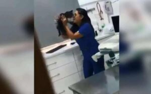 VIDEO: Telecamera riprende veterinario mentre tratta un gatto appena ricoverato in clinica.