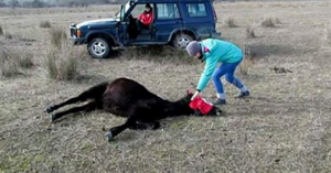 Mammina mi ama… lo so. Mi ha lasciato qui solo perché aveva un problema ma verrà a prendermi. Sono tanto triste. Leggi il biglietto che ha lasciato per te e capirai molte cose. Ti prego, cerca la mia mamma!