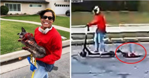 Una donna trascina il suo cane legato a un monopattino elettrico. Va a 24 km / h per quasi 1 chilometro, poi si ferma prende il suo cane in braccio e se la ride. Il video ha fatto infuriare il web