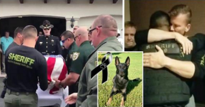 Il cane poliziotto perde la vita la vigilia di Natale nell’atto più eroico che potesse esserci, per proteggere i suoi.