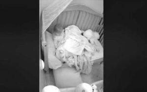 Pitbull dorme nella culla della sua sorellina umana, La bambina rimbocca le coperte al cane