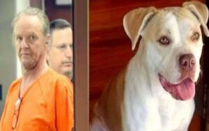 Un uomo condannato a 10 anni di carcere per aver legato il suo cane a un camion e trascinato per 3 chilometri