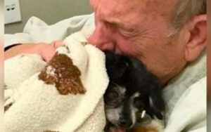 Anziano abbraccia per l’ultima volta il cane che è stato il suo compagno per 16 anni