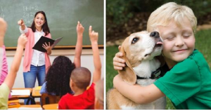 “Rispetto verso gli animali” – Le nuove lezioni scolastiche che trasformeranno il cuore dei bambini