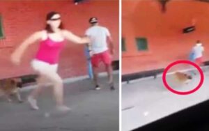 VIDEO: Una donna sale di corsa sul treno abbandonando il suo cane alla stazione