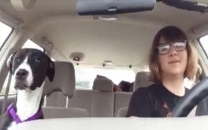 VIDEO: La donna e il suo cane cantano insieme in auto