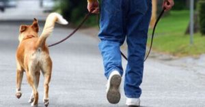 Uomo viene ferito gravemente per salvare il suo cane da un’aggressione