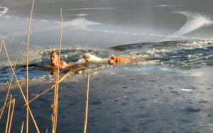 Uomo si lancia nel lago ghiacciato con la sua Golden Retriever per salvare i cani bloccati