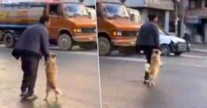 Cane attraversa la strada dando la zampa al suo proprietario