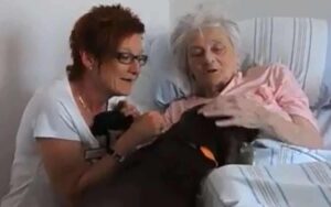 Mettono un cucciolone nel letto di un’anziana signora, la sua reazione ha fatto il giro del web
