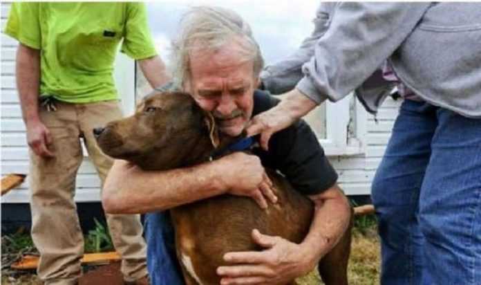 uomo spende i suoi risparmi per salvare il suo cane da una malattia cardiovascolare