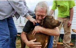 Uomo spende i soldi risparmiati durante la sua vita per salvare un cane malato