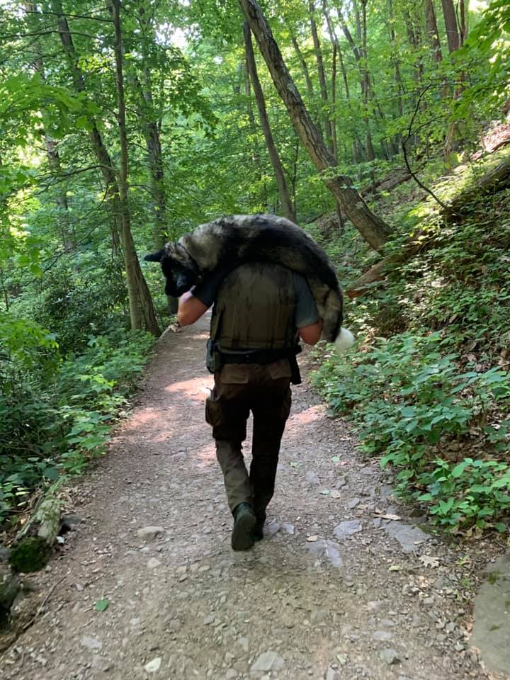 ranger porta a spalla un cane disidratato fino al ruscello più vicino