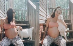 Una gatta randagia e una donna diventano amiche di gravidanza