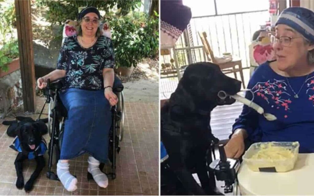 Il cane guida ha un modo così dolce di aiutare la sua mamma umana