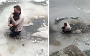 Un uomo si getta nelle acque gelate di un fiume per salvare un cane rimasto intrappolato