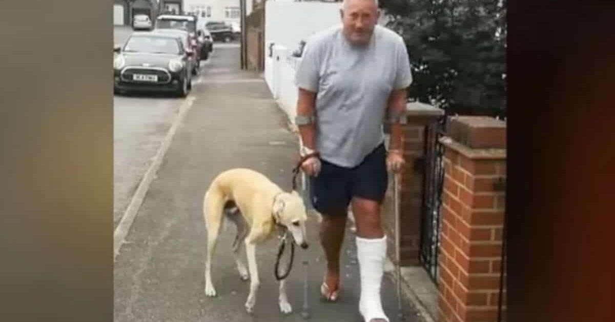 Dopo aver pagato un conto veterinario di 400 dollari, scopre che il suo