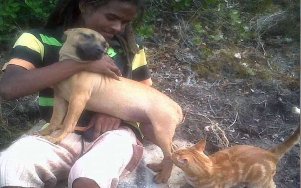 Il soccorritore di cani e gatti di Hangberg