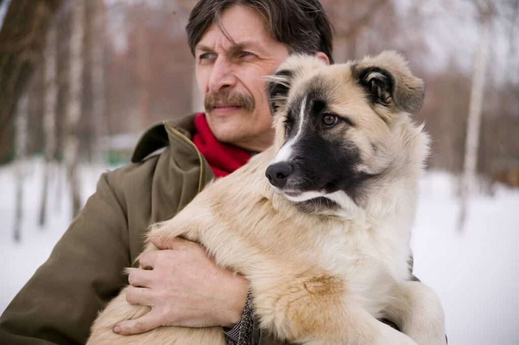 aspetti del cane che possiamo vedere per conoscere tratti del suo padrone