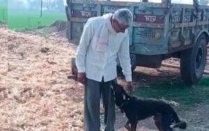 “Mi ama più dei miei figli” Uomo lascia in eredità la sua proprietà al suo cane