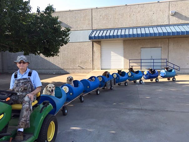 alcune idee da adottare per il vostro cane