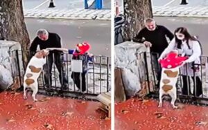 VIDEO: Una famiglia regala un maglione al cane dopo che gli è stato rubato il suo giorni prima