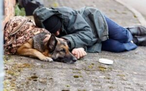 “Era il mio unico amico”: il grido di un senzatetto per il suo cane travolto