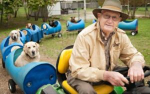 Il nonno costruisce un treno per trovare una casa ai cani randagi