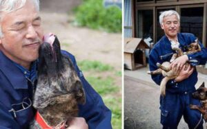 Quest’uomo è tornato a Fukushima per prendersi cura degli animali che altri hanno lasciato.