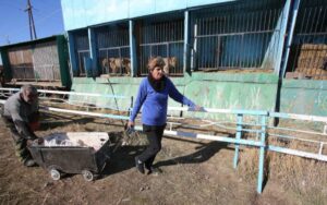 Coppia di anziani: lotta sola con reddito basso, perché gli animali di uno zoo abbandonato non muoiano di stenti