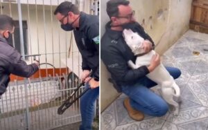 VIDEO: cagnetta incatenata viene liberata da un uomo e lo ricopre di baci e affetto