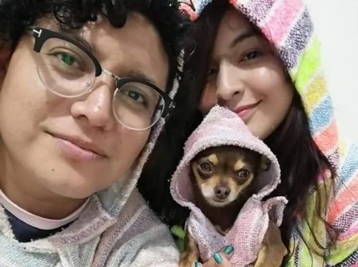 Chihuahua viene abbandonato ma trova una nuova famiglia che l'ha adottato