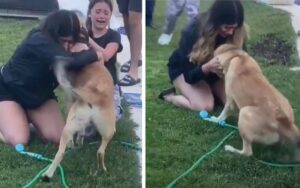 VIDEO: ragazze scoppiano in lacrime quando vedono il loro cane scomparso tornare a casa