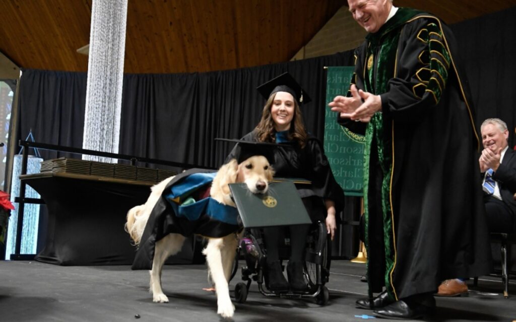 cane riceve una laurea dal college