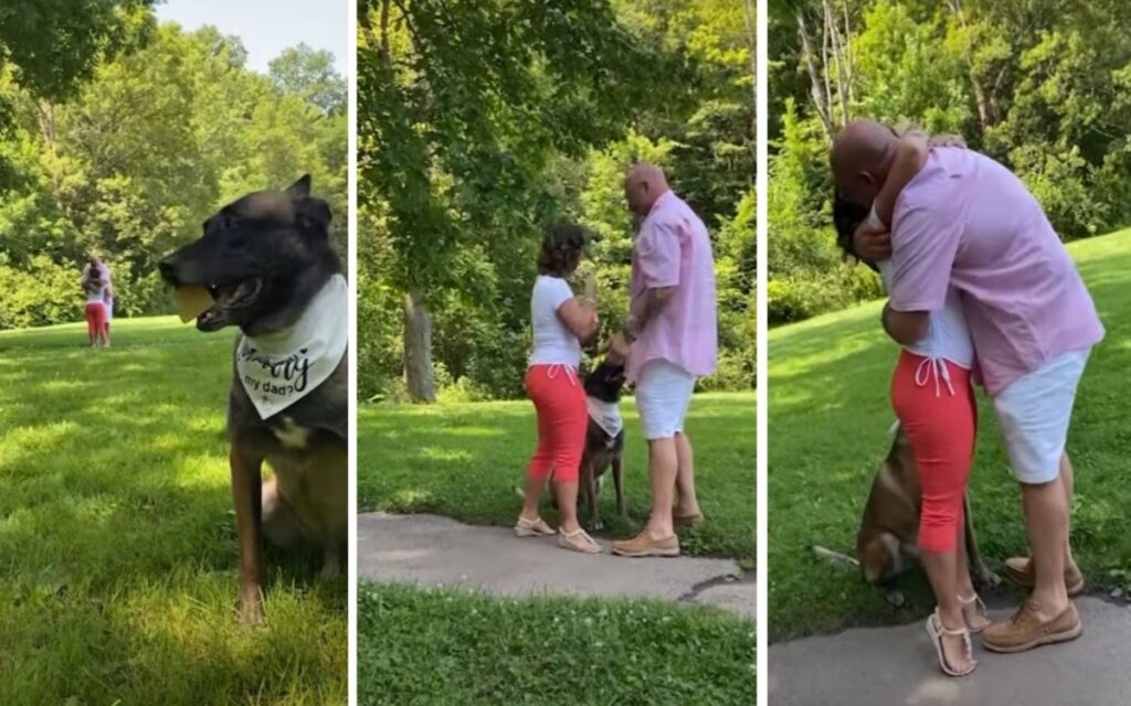 cane aiuta il suo padrone a fare la proposta di matrimonio alla sua ragazza