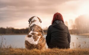 La morte di un animale domestico: difficile da superare come quella di un membro della famiglia